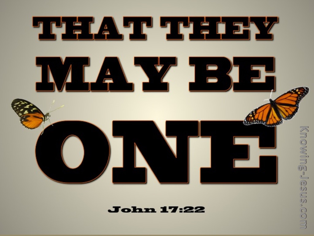 John 17:22 That They May Be One (brown)